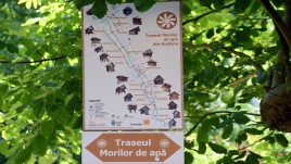 51-1752389699_20250713.jpg