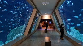 Istanbul în 3 zile: Între istorie, shopping și Bosfor 82-1771569832_20260220.jpg