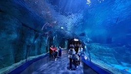 Istanbul în 3 zile: Între istorie, shopping și Bosfor 82-1771569833_20260220.jpg