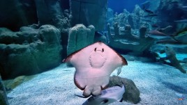 Istanbul în 3 zile: Între istorie, shopping și Bosfor 82-1771569834_20260220.jpg