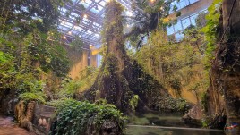 Istanbul în 3 zile: Între istorie, shopping și Bosfor 82-1771569835_20260220.jpg