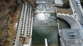Parva: Energie verde, natură și turism în Munții Rodnei 89-1779105280_20260518.jpg