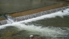 Parva: Energie verde, natură și turism în Munții Rodnei 89-1779105329_20260518.jpg