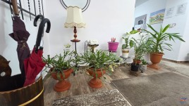 Făgăraș – orașul care nu încearcă să impresioneze, dar o face oricum 94-1787303804_20260821.jpg