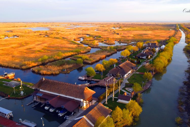Holbina Trei Bibani - acasă, în Delta Dunării